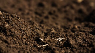 Soil