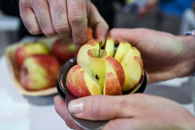 B2: neue Apfelsorte zum Testen